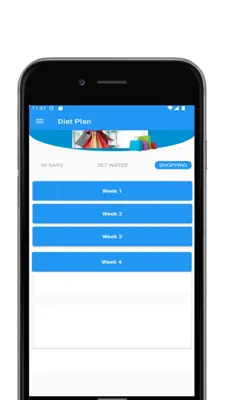 Diet Plan android App screenshot 2