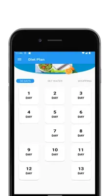 Diet Plan android App screenshot 7